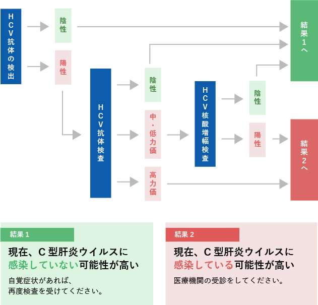 C型肝炎ウイルス検査の結果